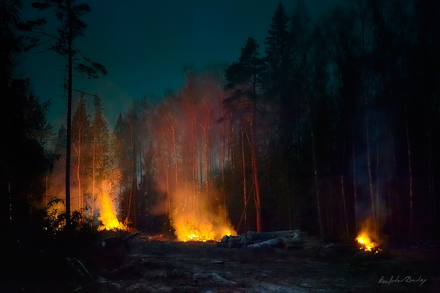 Фото жизнь