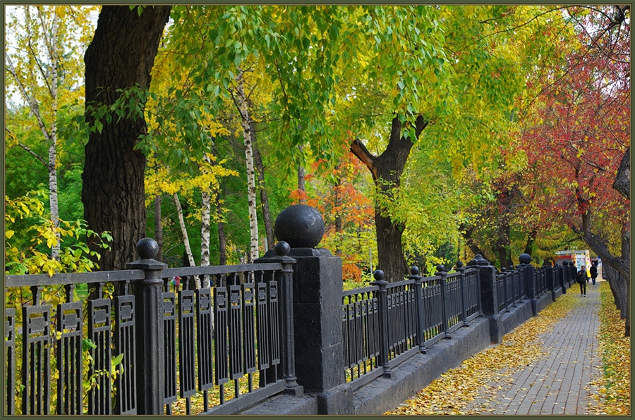Фото жизнь