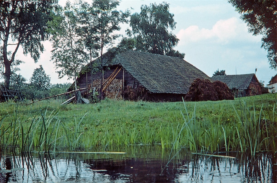 Фото жизнь