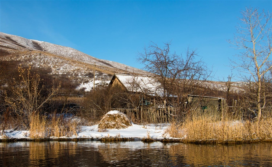 Фото жизнь