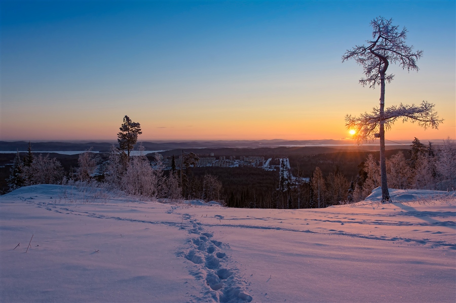 Фото жизнь