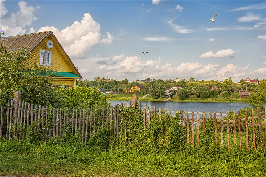 Фото жизнь