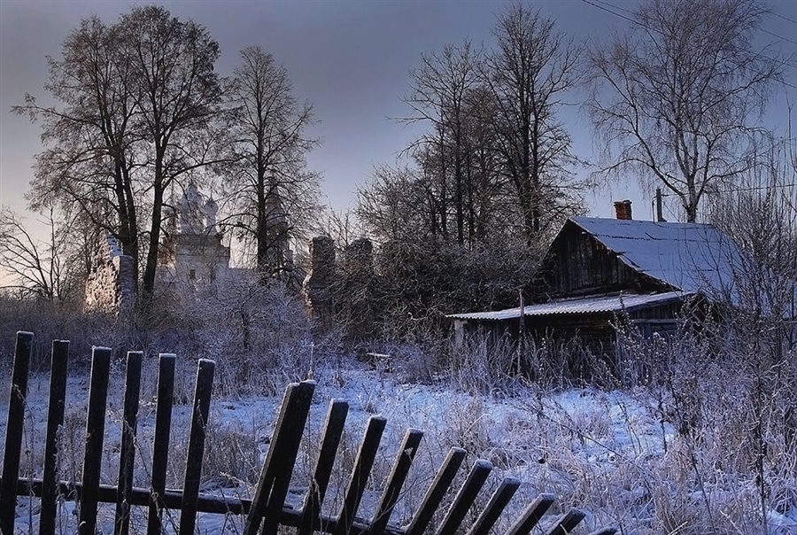 Фото жизнь