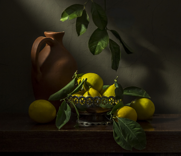 Фото жизнь (light) - Olgaleksandrovna - корневой каталог - О лимонах...
