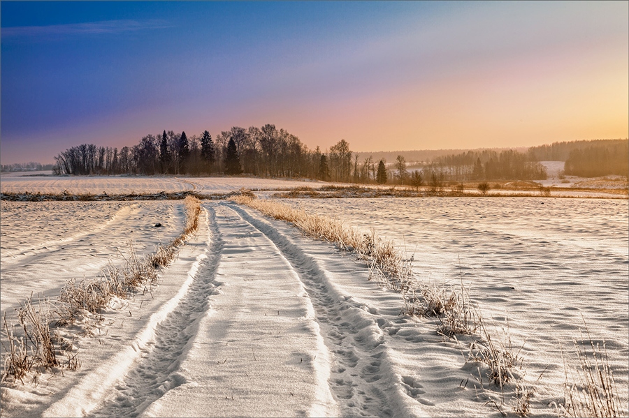 Фото жизнь