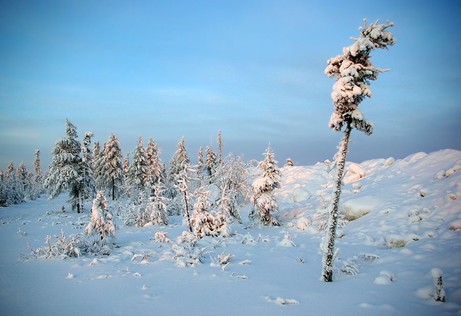 Фото жизнь - Виктор Солодухин - Сказочная зима - Якутские морозы 2