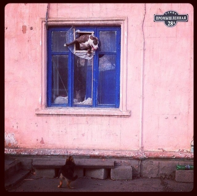 Фото жизнь
