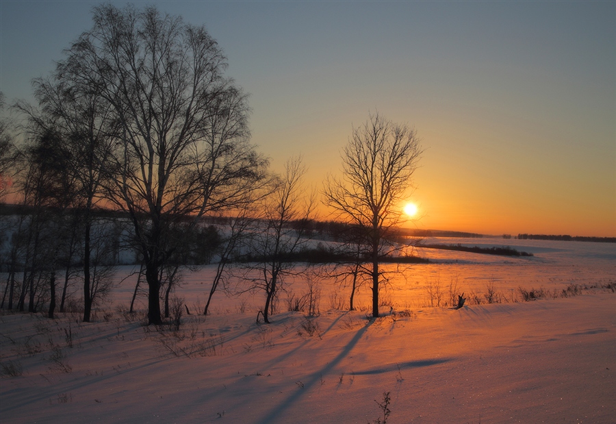Фото жизнь
