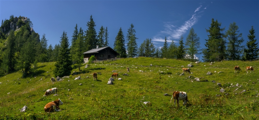 Фото жизнь