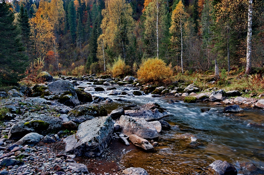 Осенний Алтай Фото