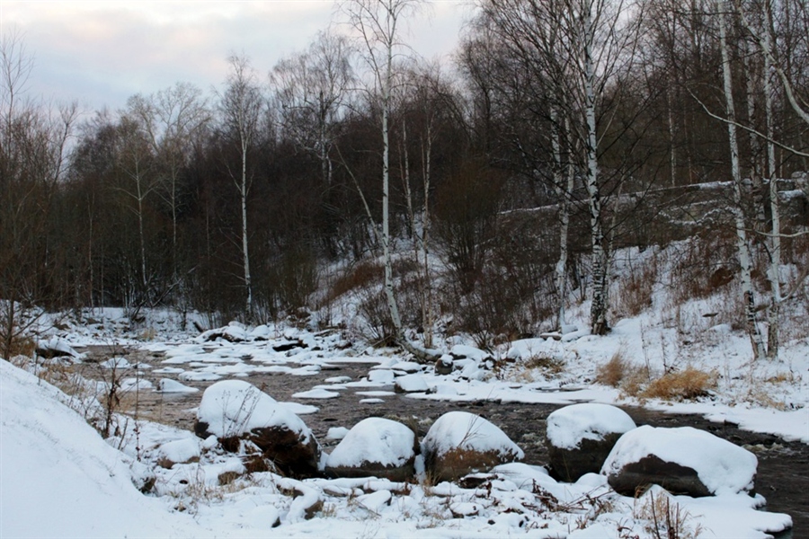 Фото жизнь