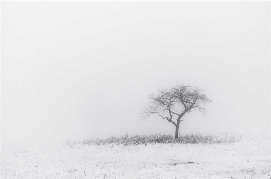Alone...