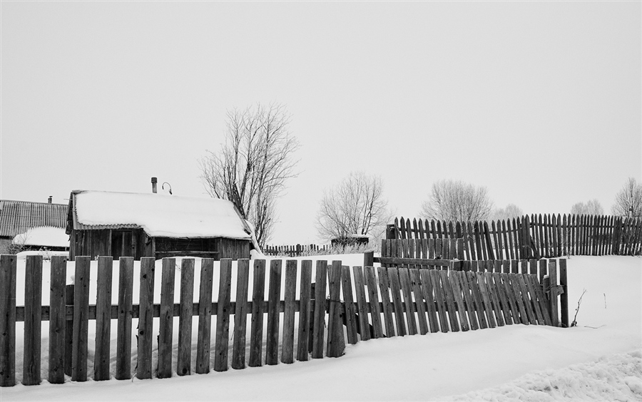 Фото жизнь