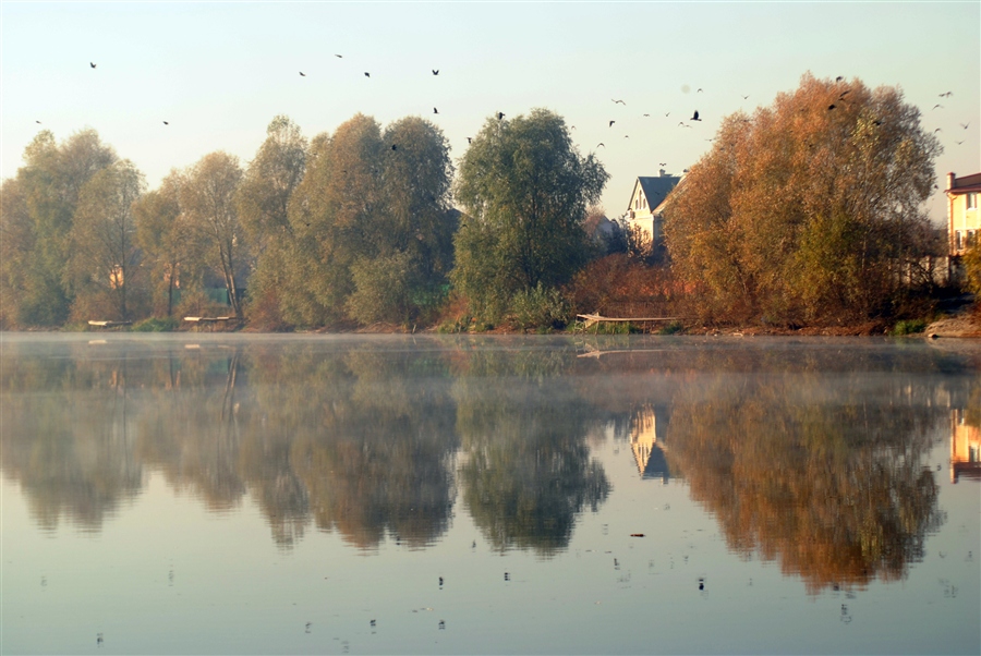 Фото жизнь