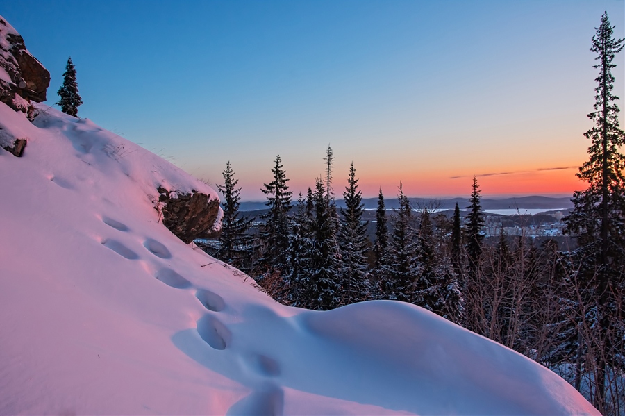Фото жизнь