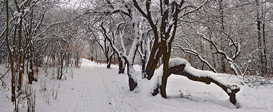 Фото жизнь