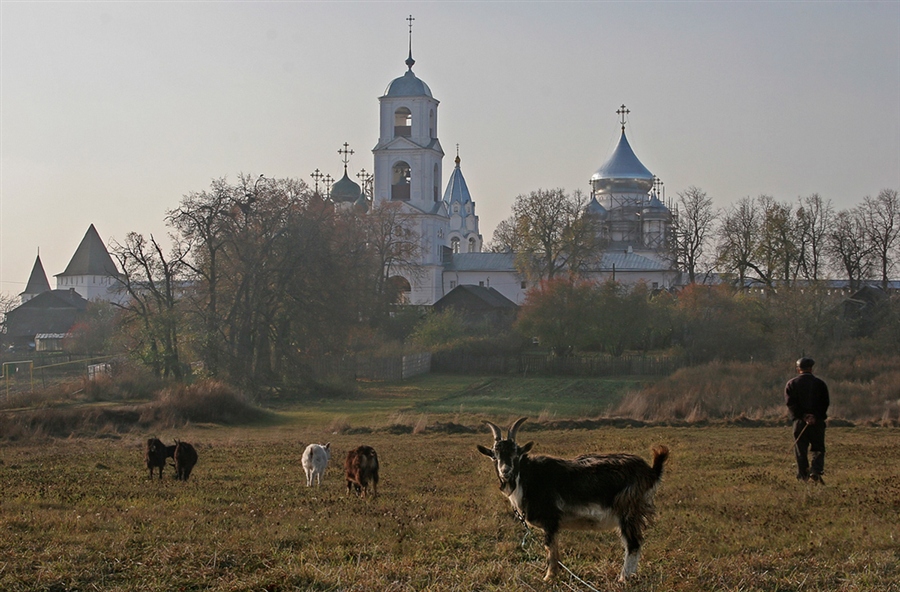 Фото жизнь