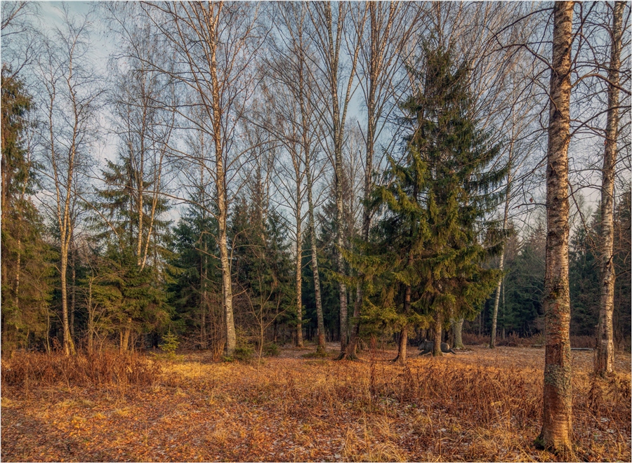 Фото жизнь