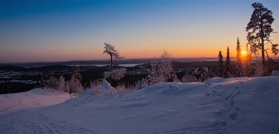 Фото жизнь