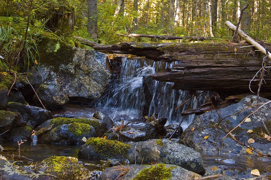 Фото жизнь