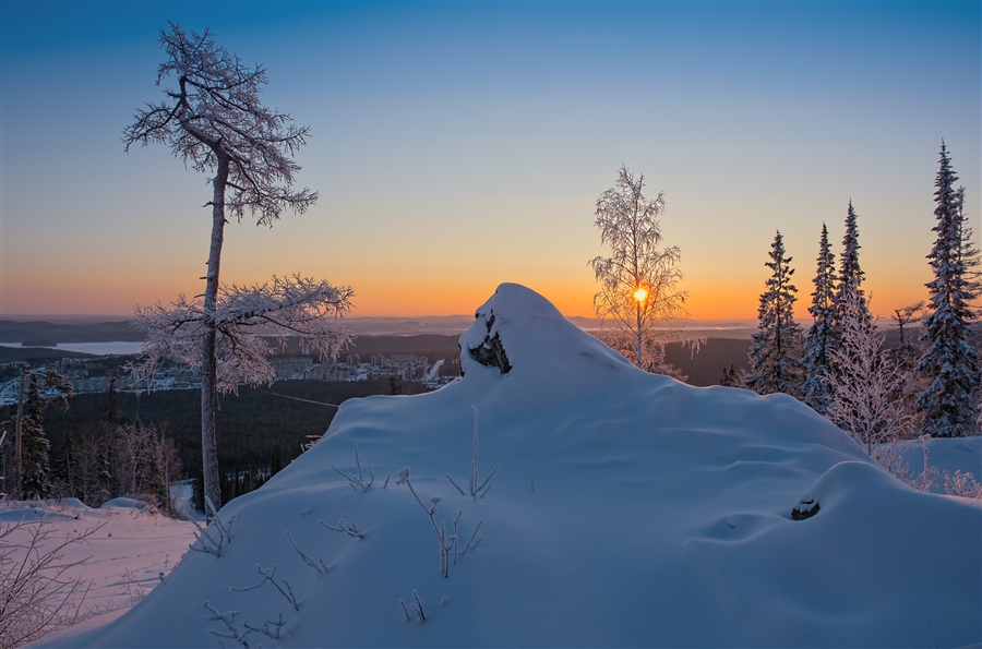 Фото жизнь