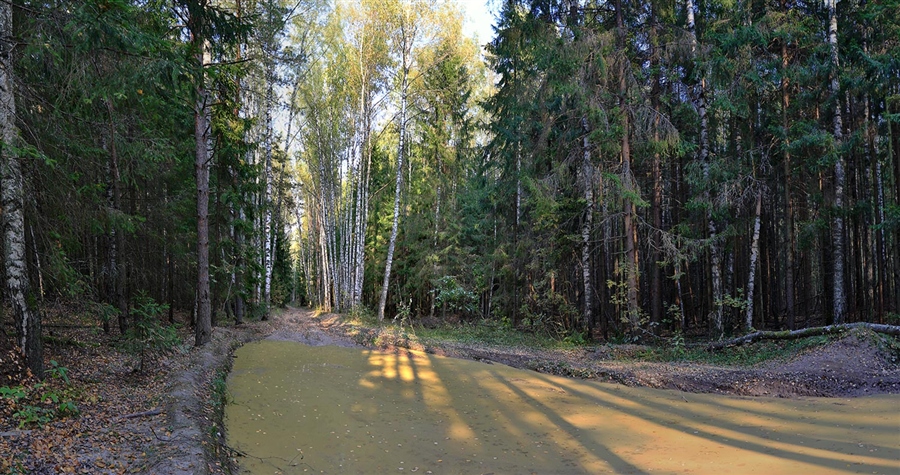 Фото жизнь