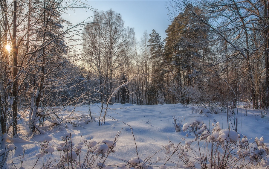 Фото жизнь