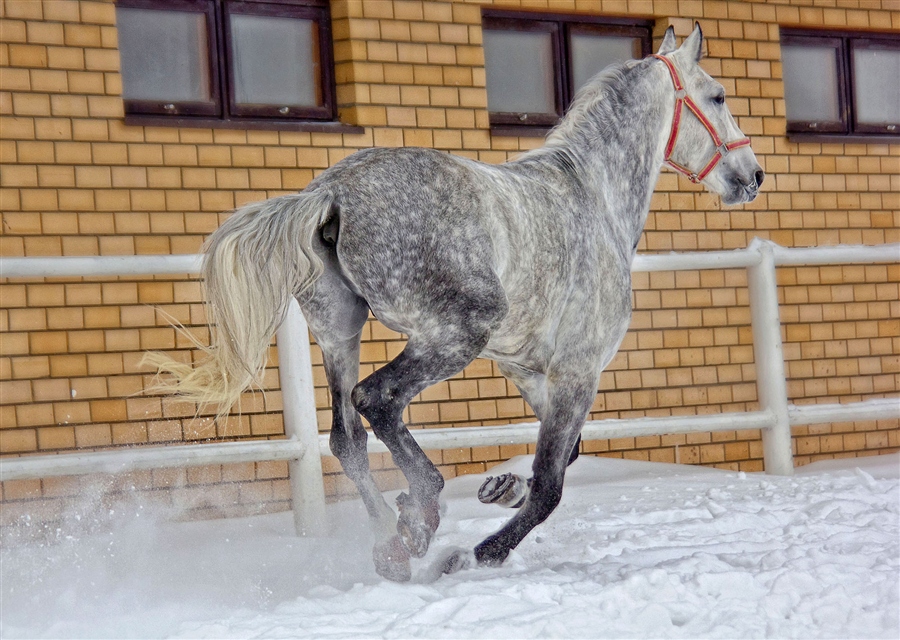 Фото жизнь