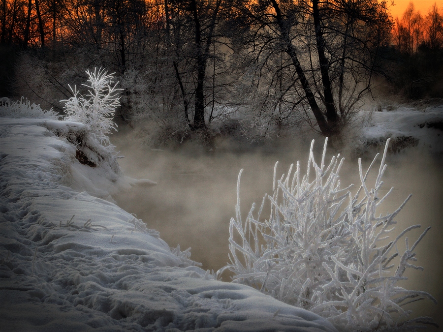 Фото жизнь