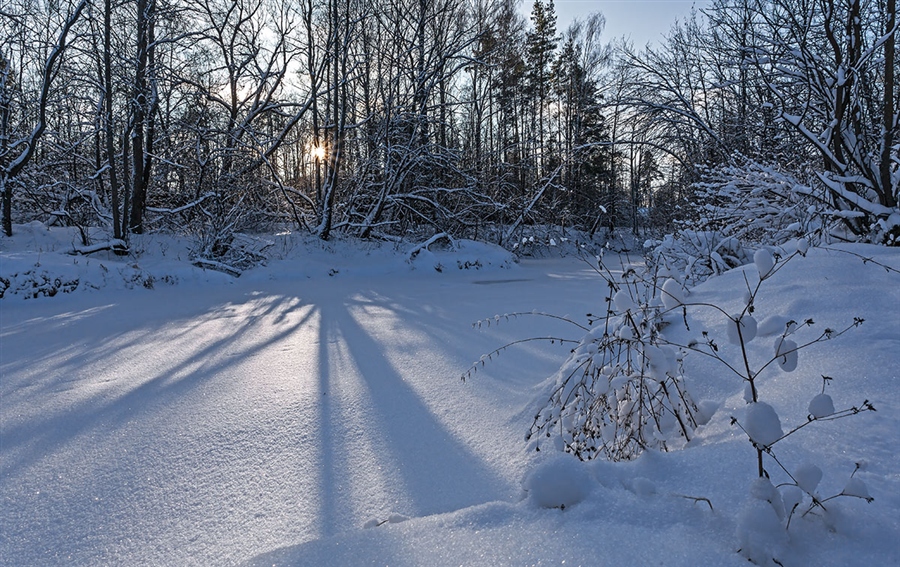 Фото жизнь