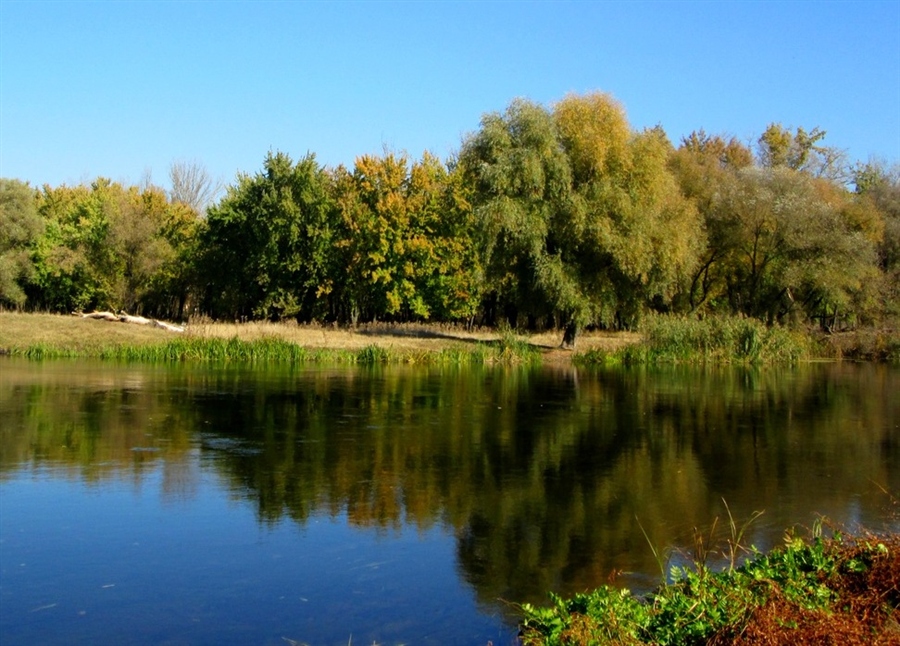 Фото жизнь