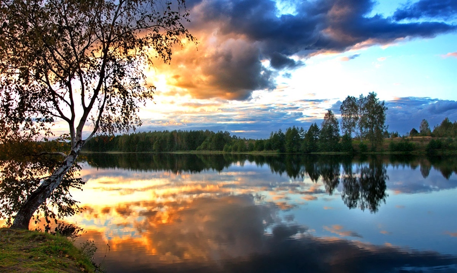 Фото жизнь