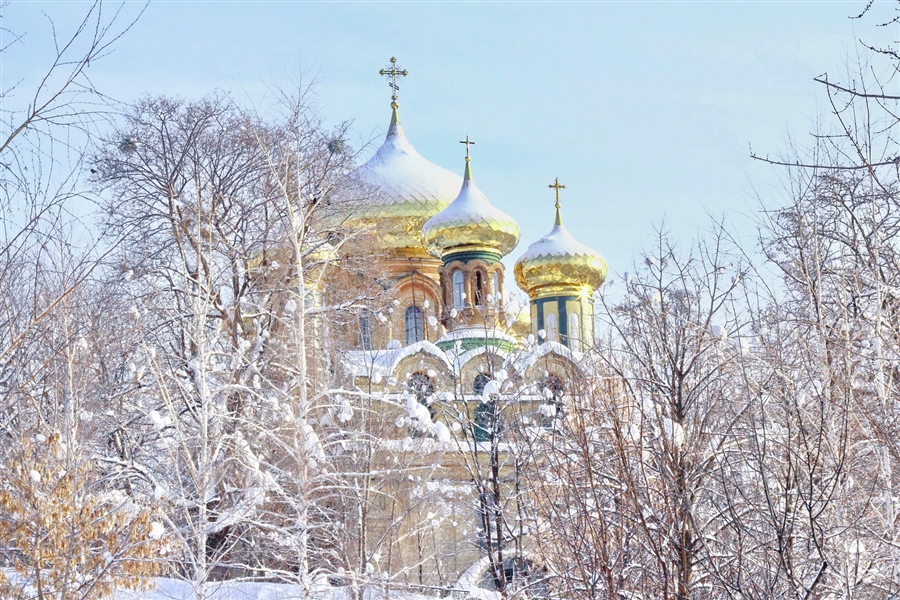 Фото жизнь