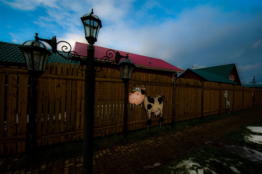 Фото жизнь