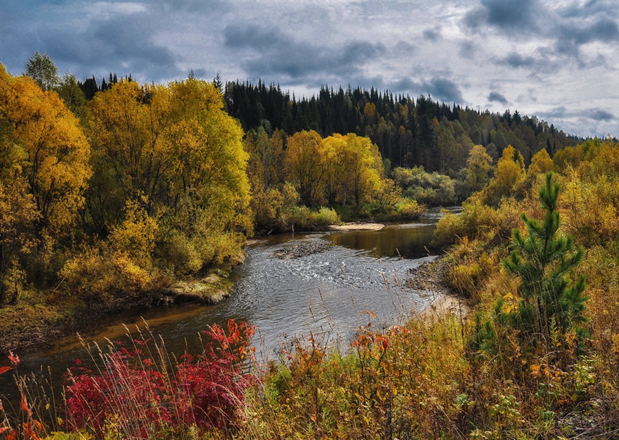 Фото жизнь