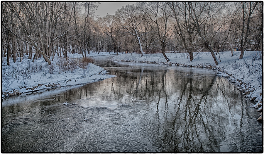 Фото жизнь