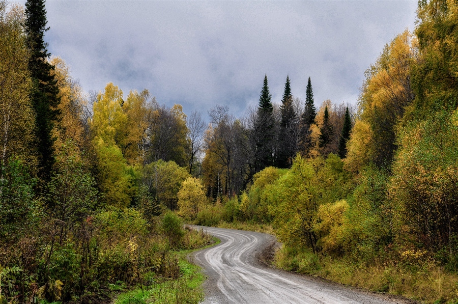 Фото жизнь