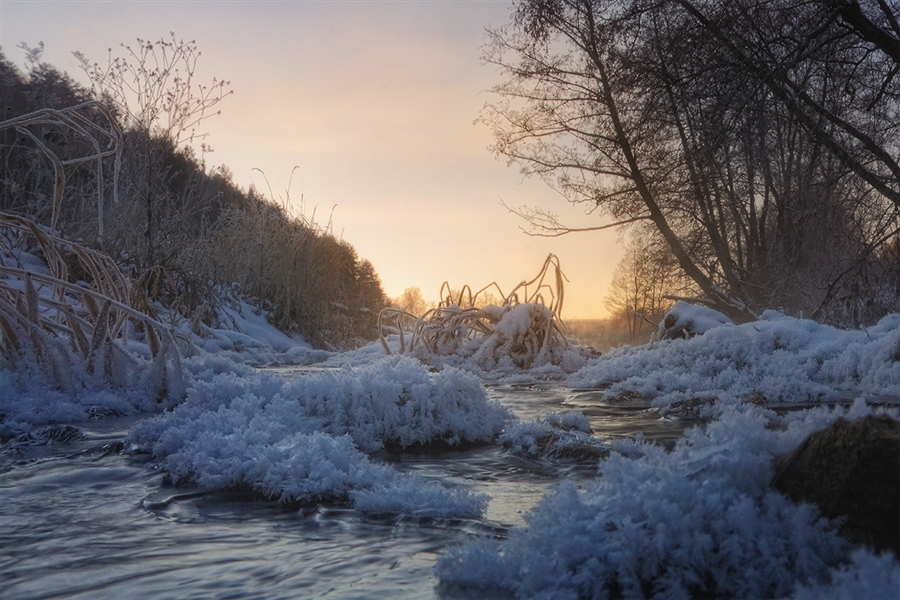 Фото жизнь