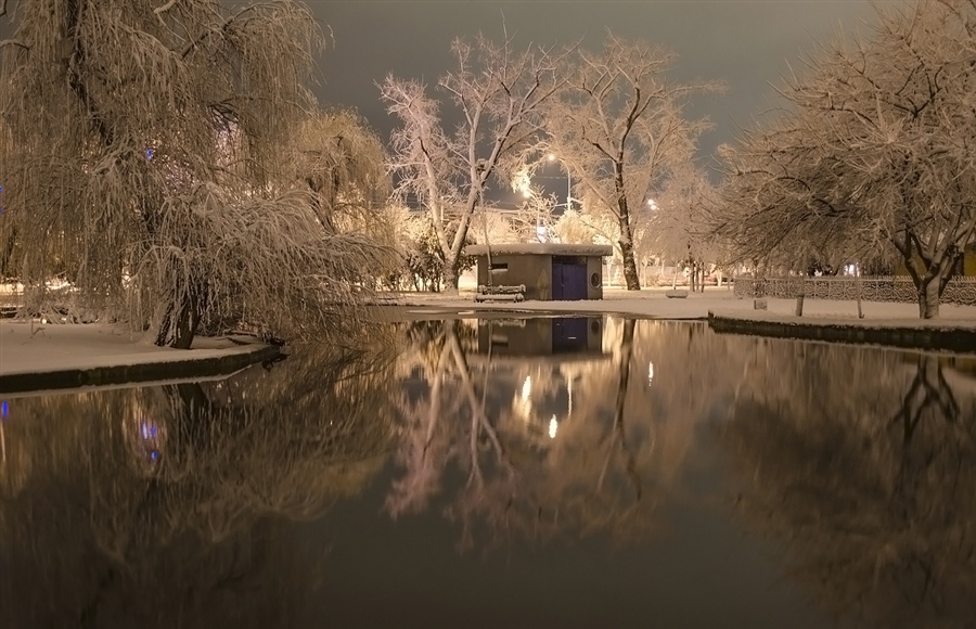 Фото жизнь