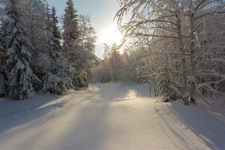 Фото жизнь