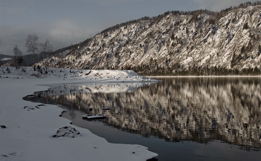 Фото жизнь