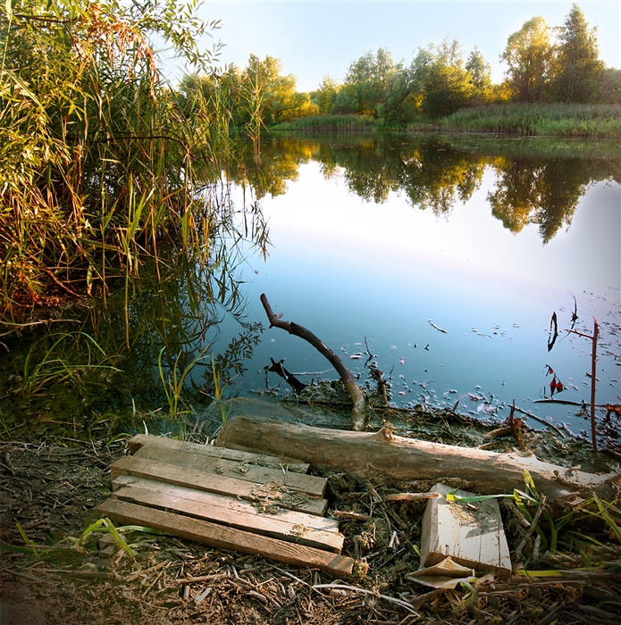 Фото жизнь