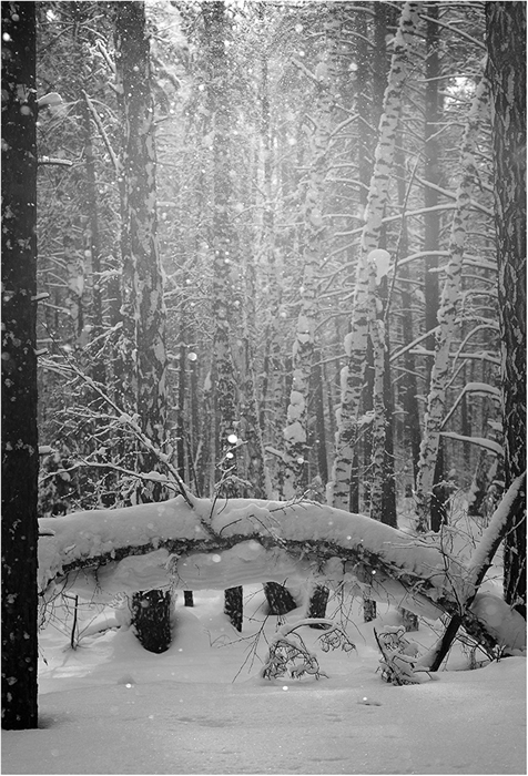 Фото жизнь