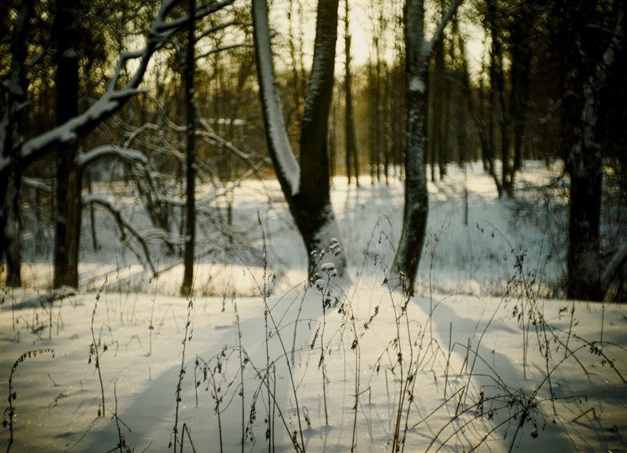 Фото жизнь