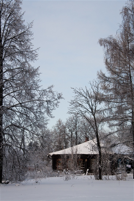 Фото жизнь