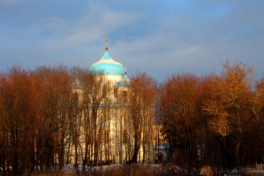 Фото жизнь