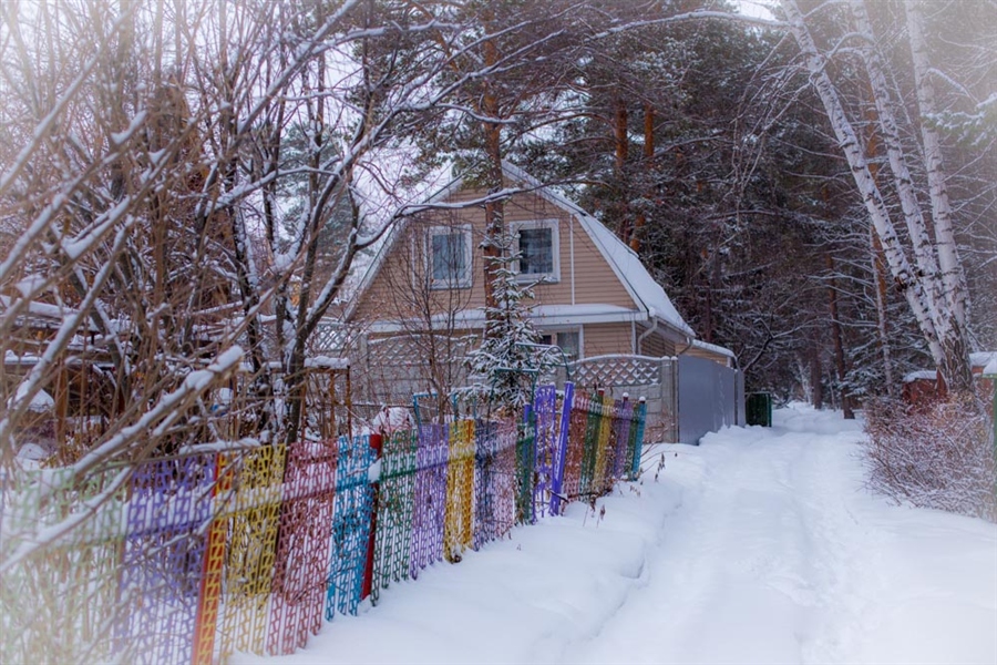 Фото жизнь