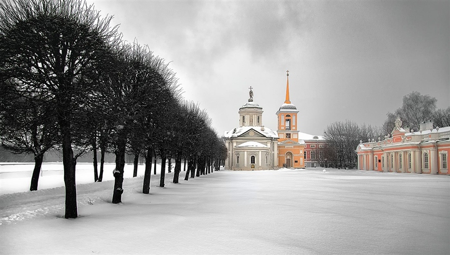 Фото жизнь