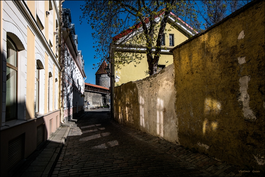 Фото жизнь