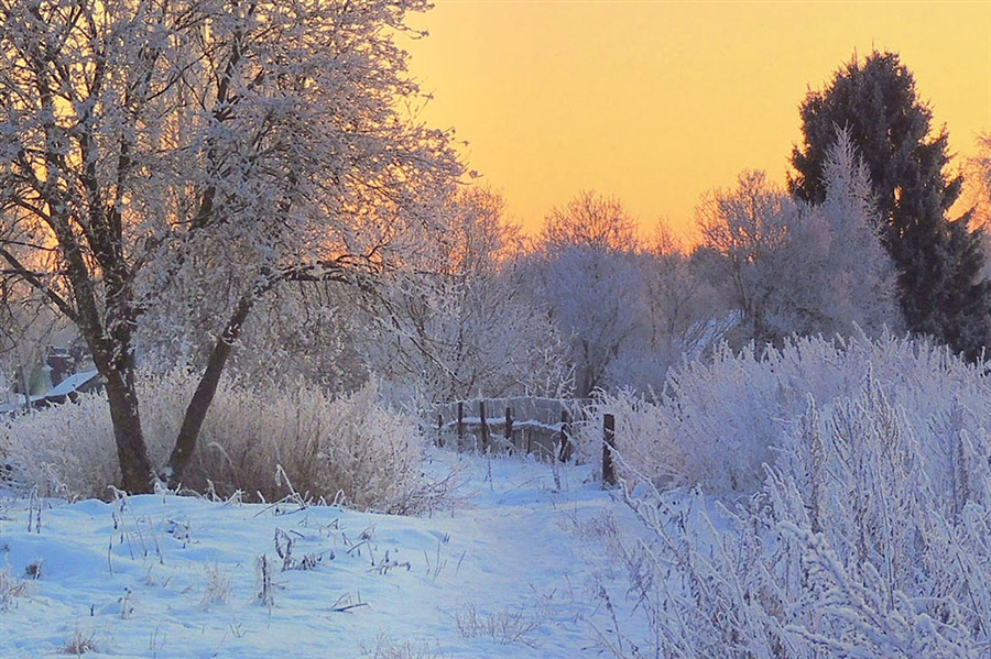 Фото жизнь